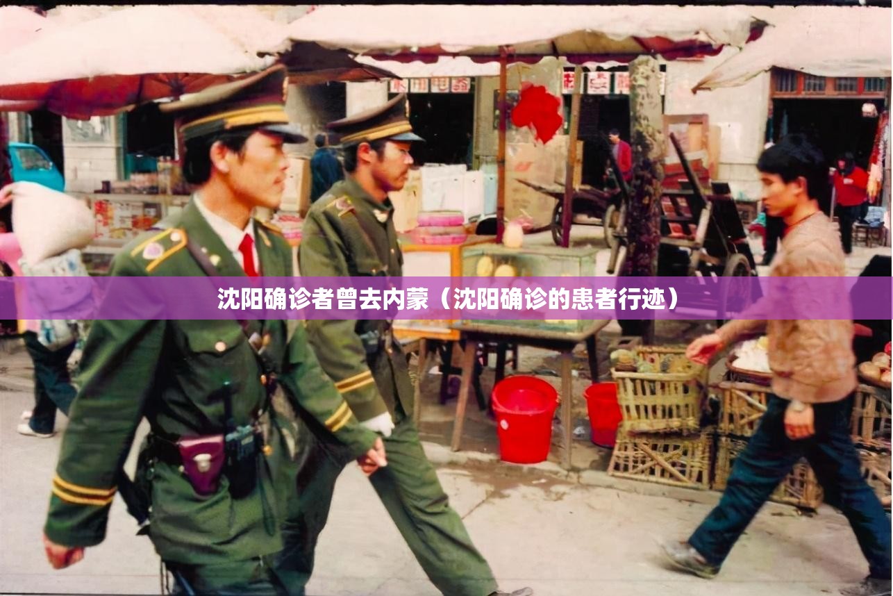 沈阳确诊者曾去内蒙(沈阳确诊的患者行迹) 沈阳确诊者曾去内蒙(沈阳确诊的患者行迹)