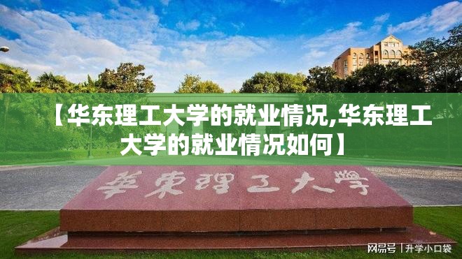 【华东理工大学的就业情况,华东理工大学的就业情况如何】