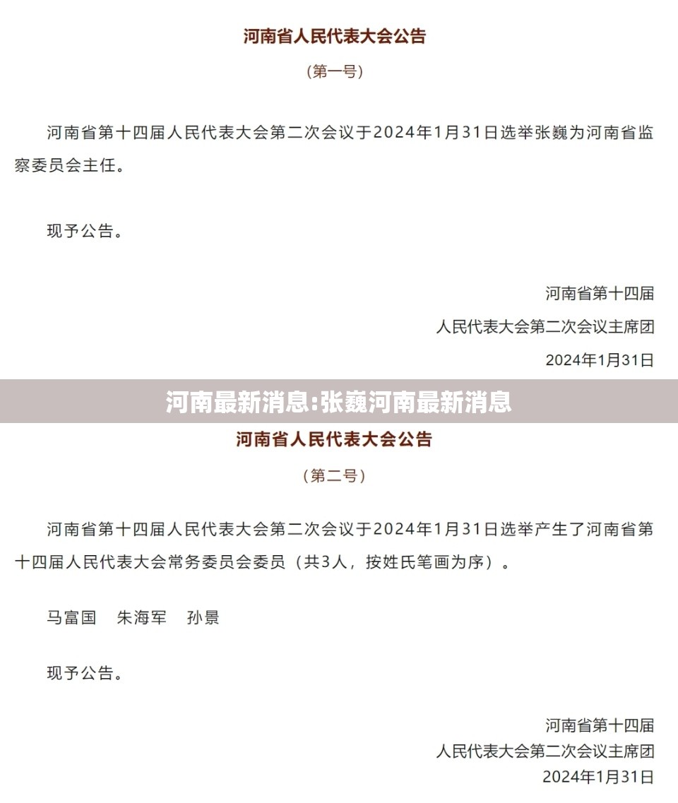 河南最新消息:张巍河南最新消息