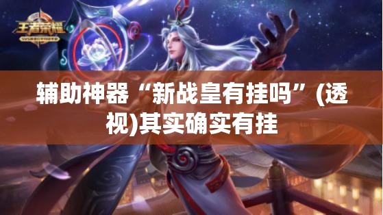 辅助神器“新战皇有挂吗”(透视)其实确实有挂