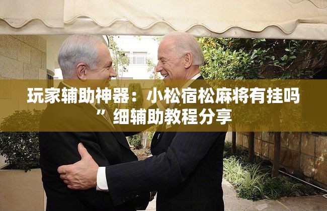 玩家辅助神器：小松宿松麻将有挂吗”细辅助教程分享