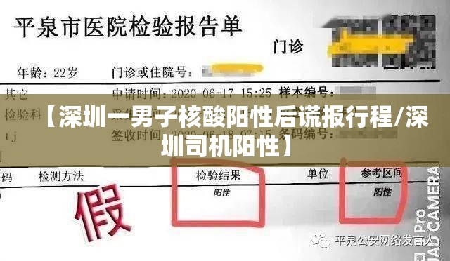 【深圳一男子核酸阳性后谎报行程/深圳司机阳性】