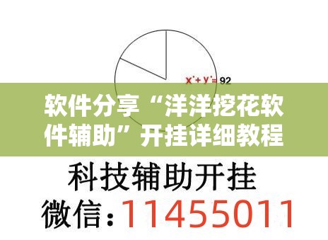 软件分享“洋洋挖花软件辅助”开挂详细教程