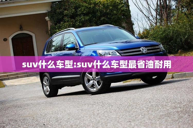 suv什么车型:suv什么车型最省油耐用