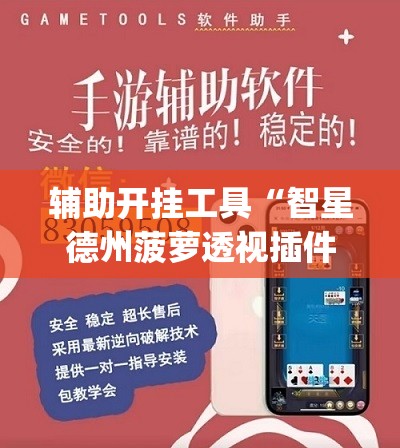 辅助开挂工具“智星德州菠萝透视插件工具	”(透视挂)辅助下载教程