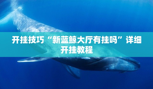 开挂技巧“新蓝鲸大厅有挂吗”详细开挂教程