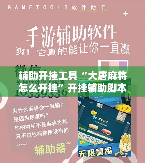 辅助开挂工具“大唐麻将怎么开挂”开挂辅助脚本+详细开挂安装教程