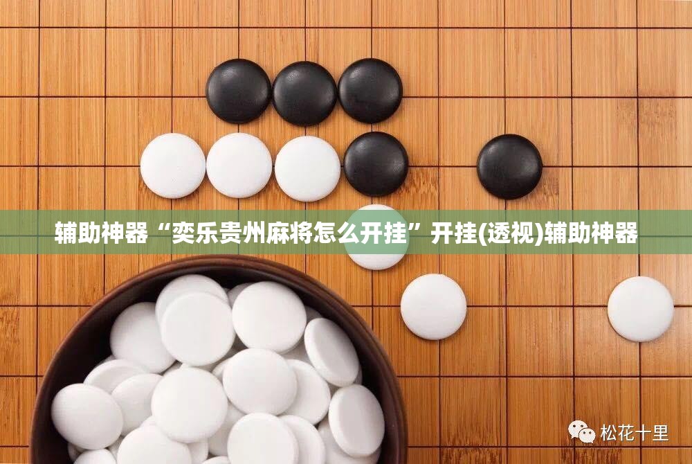 辅助神器“奕乐贵州麻将怎么开挂”开挂(透视)辅助神器