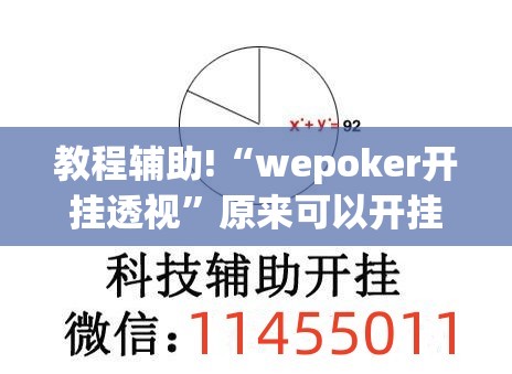 教程辅助!“wepoker开挂透视”原来可以开挂