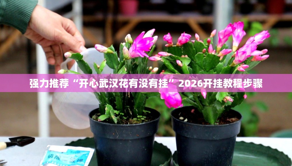 强力推荐“开心武汉花有没有挂	”2026开挂教程步骤