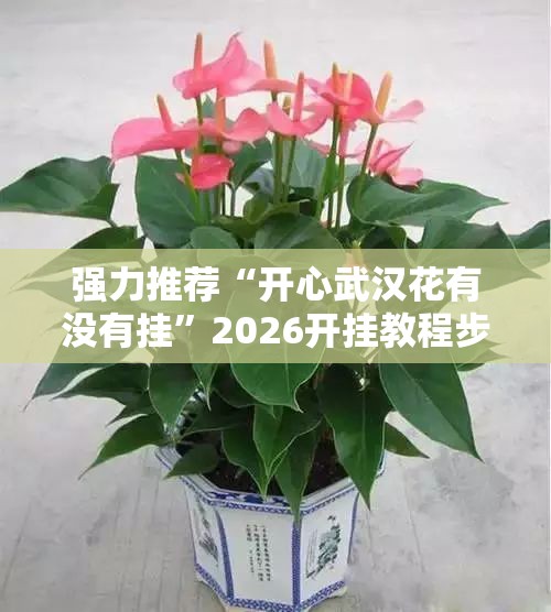 强力推荐“开心武汉花有没有挂”2026开挂教程步骤