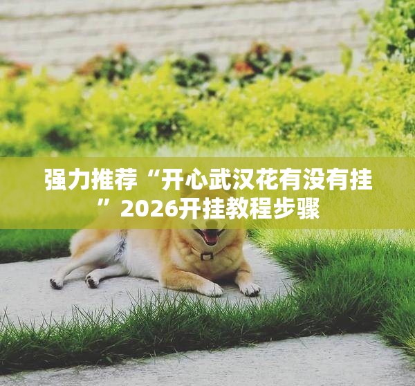 强力推荐“开心武汉花有没有挂	”2026开挂教程步骤