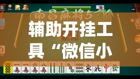辅助开挂工具“微信小程序微乐麻将有挂吗”(透视挂)辅助下载教程