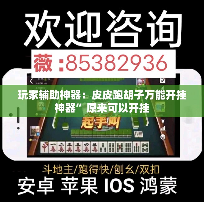 玩家辅助神器：皮皮跑胡子万能开挂神器”原来可以开挂
