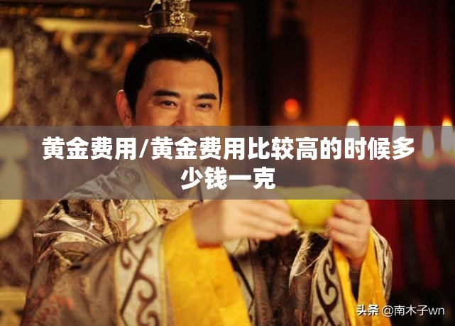 黄金费用/黄金费用比较高的时候多少钱一克
