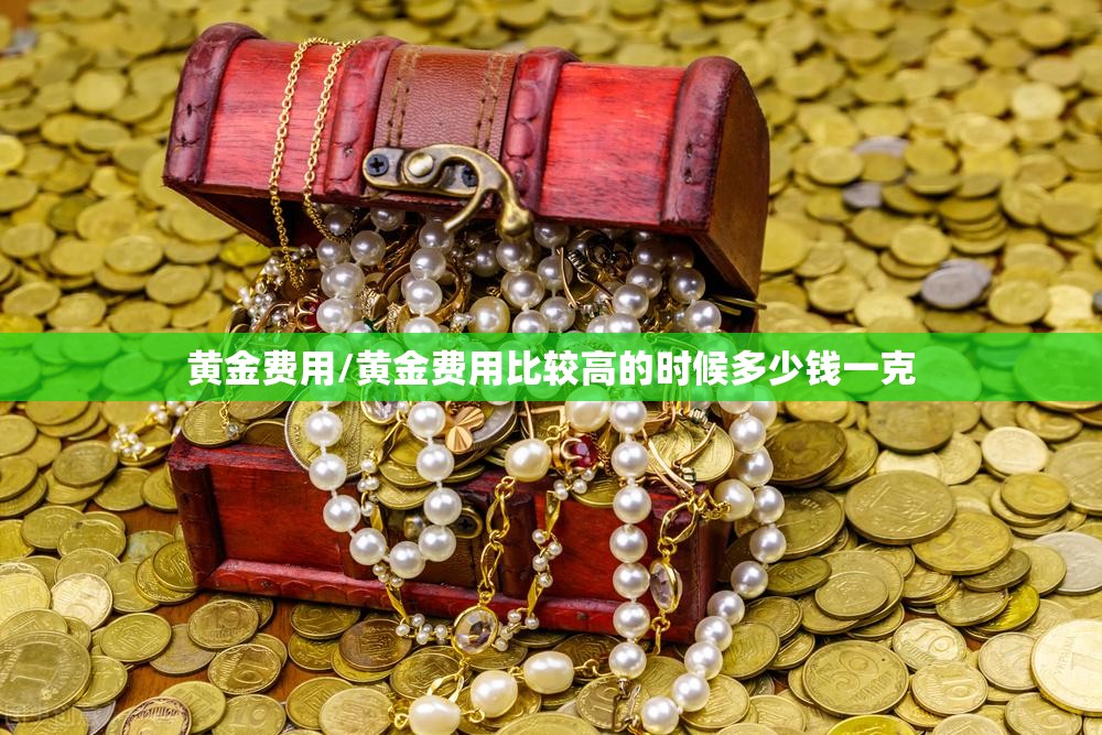 黄金费用/黄金费用比较高的时候多少钱一克