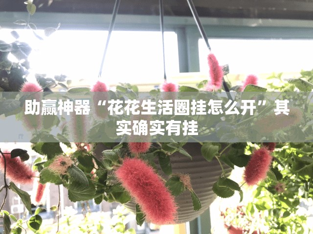 助赢神器“花花生活圈挂怎么开	”其实确实有挂
