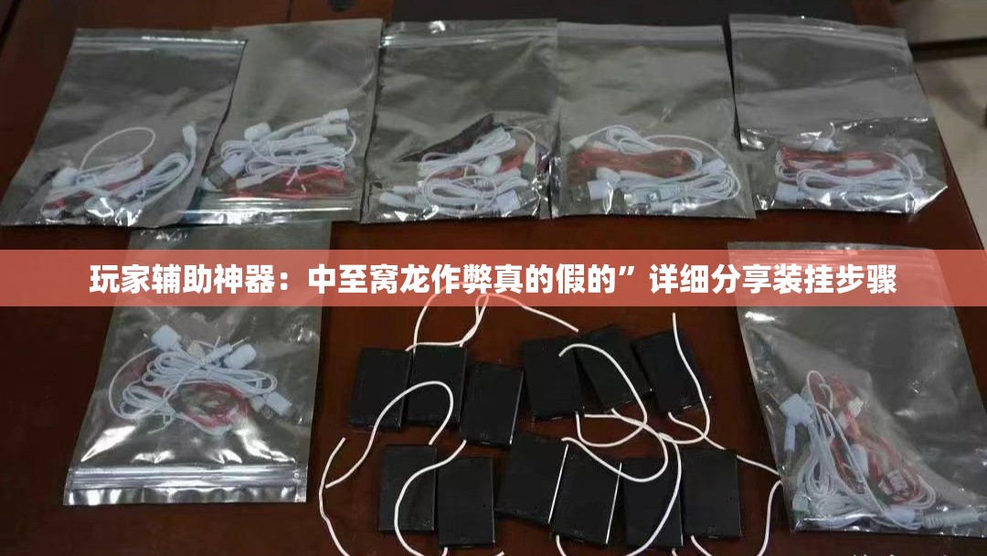 玩家辅助神器：中至窝龙作弊真的假的”详细分享装挂步骤
