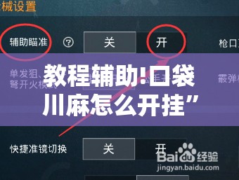 教程辅助!口袋川麻怎么开挂”2026开挂教程步骤