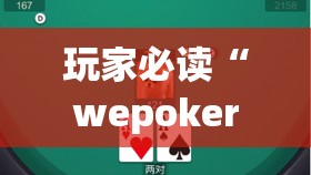 玩家必读“wepoker德州一键透视购买”详细外挂透视辅助软件教程