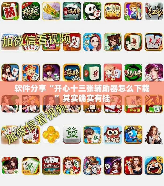 软件分享“开心十三张辅助器怎么下载	”其实确实有挂