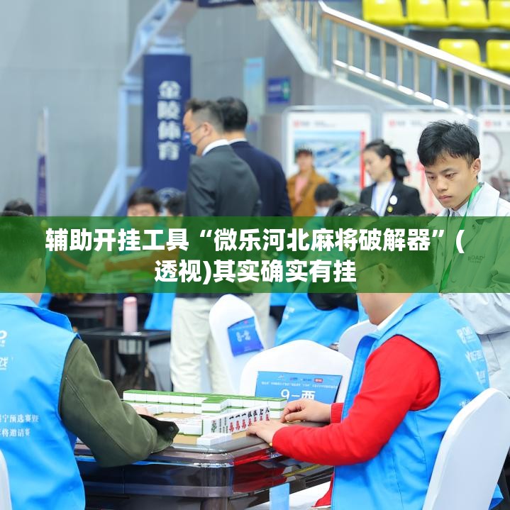 辅助开挂工具“微乐河北麻将破解器	”(透视)其实确实有挂