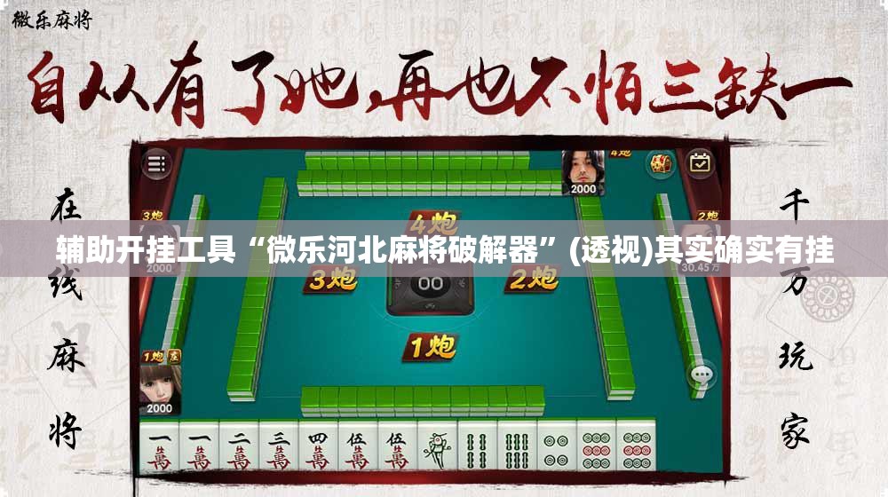 辅助开挂工具“微乐河北麻将破解器”(透视)其实确实有挂