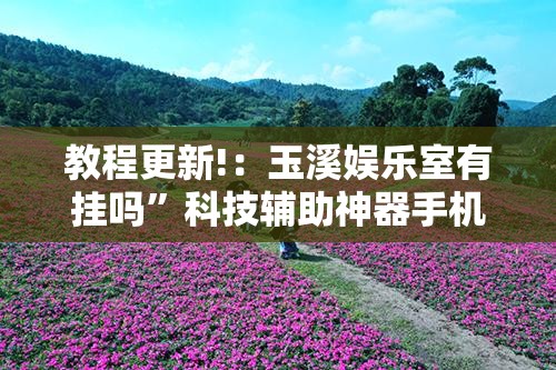 教程更新!：玉溪娱乐室有挂吗”科技辅助神器手机版