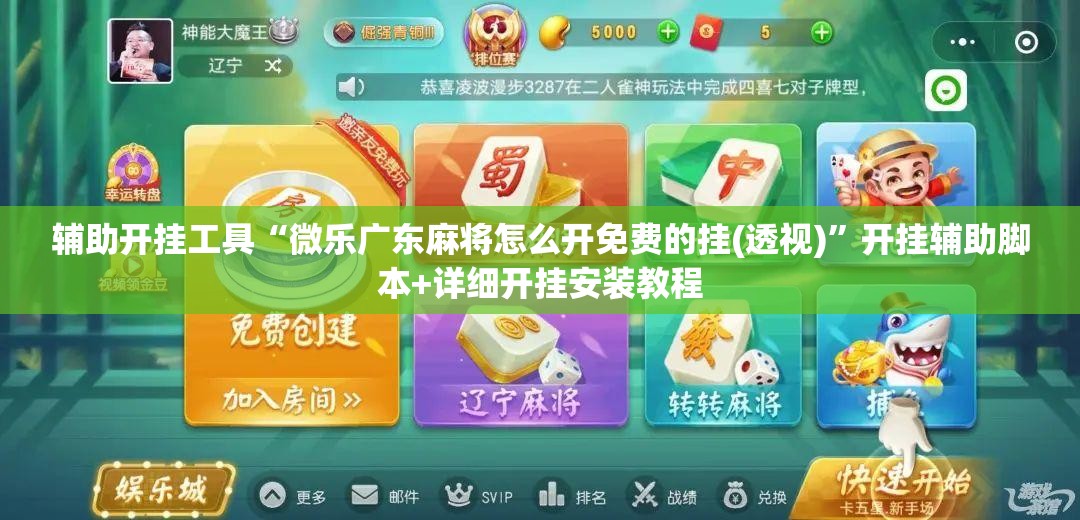 辅助开挂工具“微乐广东麻将怎么开免费的挂(透视)	”开挂辅助脚本+详细开挂安装教程