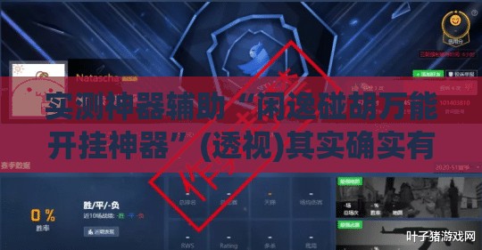 实测神器辅助“闲逸碰胡万能开挂神器	”(透视)其实确实有挂