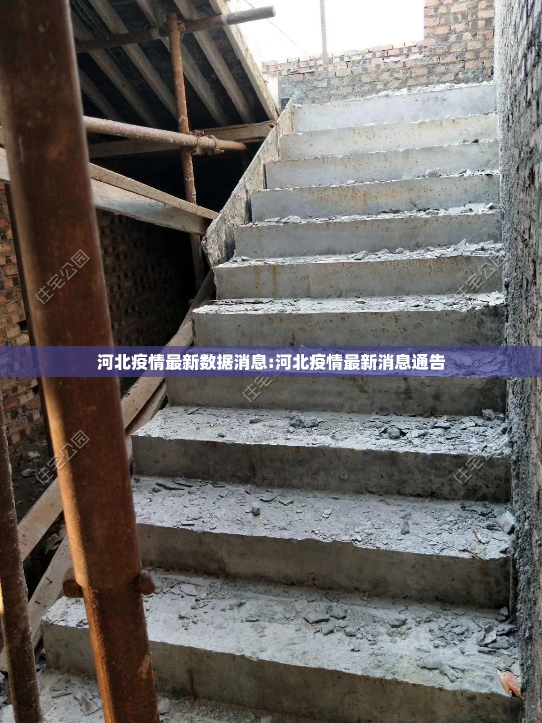 河北疫情最新数据消息:河北疫情最新消息通告