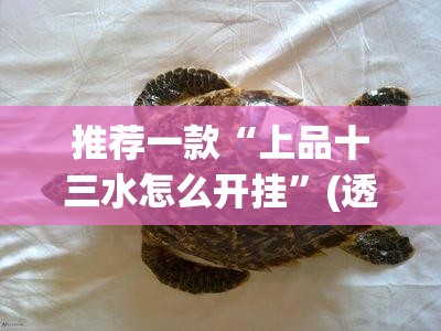 推荐一款“上品十三水怎么开挂”(透视)其实确实有挂