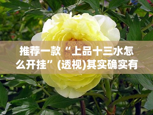 推荐一款“上品十三水怎么开挂	”(透视)其实确实有挂
