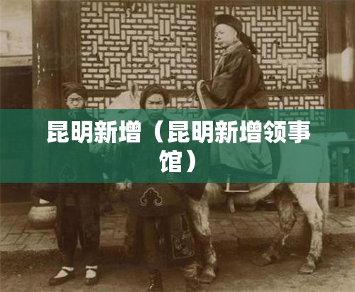 昆明新增（昆明新增领事馆）