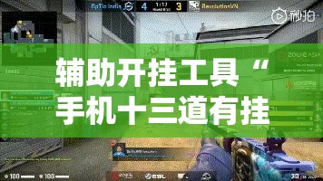 辅助开挂工具“手机十三道有挂吗”细辅助教程分享