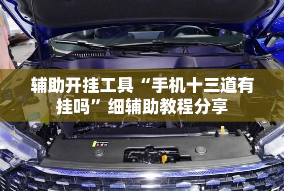 辅助开挂工具“手机十三道有挂吗”细辅助教程分享
