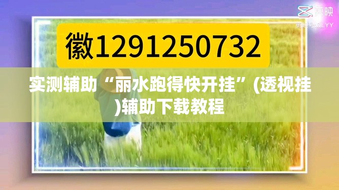 实测辅助“丽水跑得快开挂”(透视挂)辅助下载教程