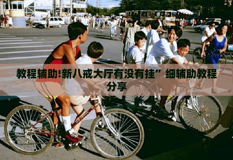 教程辅助!新八戒大厅有没有挂”细辅助教程分享