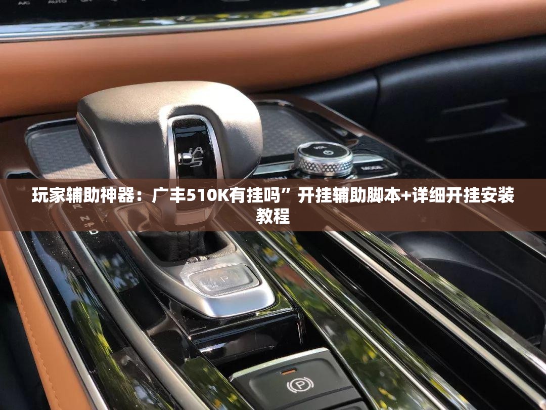 玩家辅助神器：广丰510K有挂吗”开挂辅助脚本+详细开挂安装教程