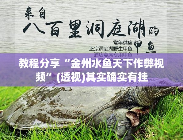 教程分享“金州水鱼天下作弊视频”(透视)其实确实有挂