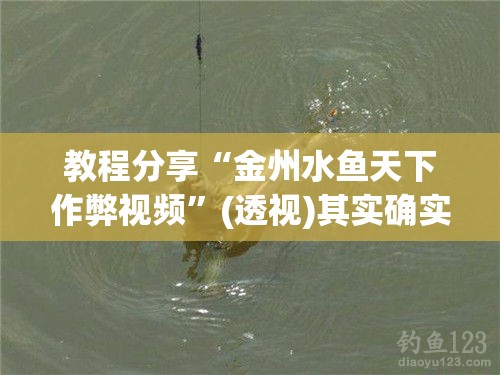 教程分享“金州水鱼天下作弊视频”(透视)其实确实有挂
