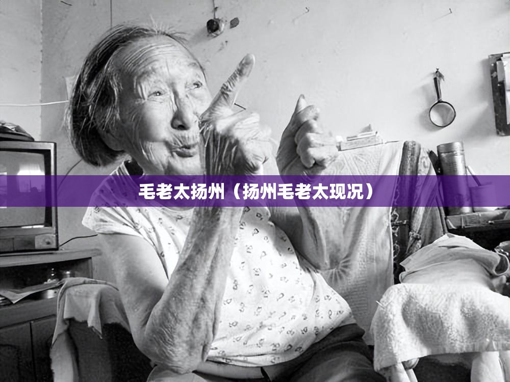 毛老太扬州（扬州毛老太现况）