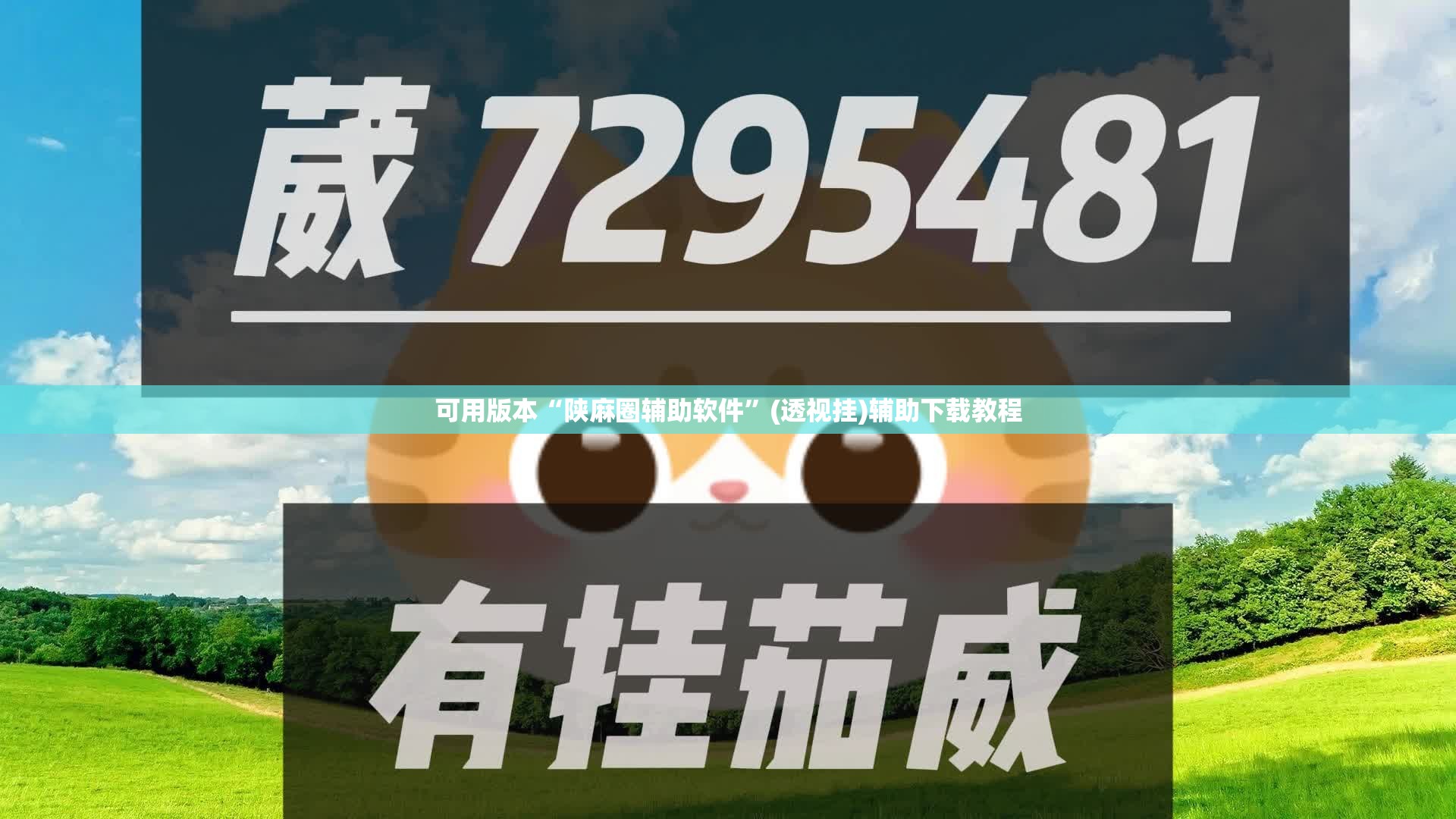 可用版本“陕麻圈辅助软件”(透视挂)辅助下载教程
