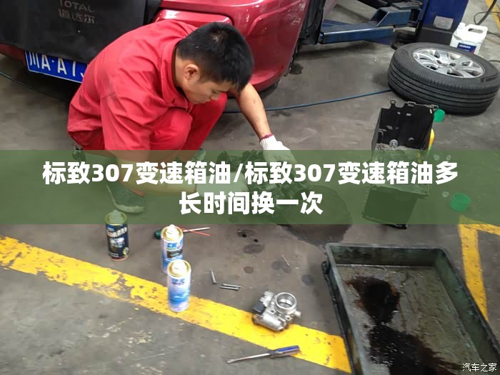 标致307变速箱油/标致307变速箱油多长时间换一次