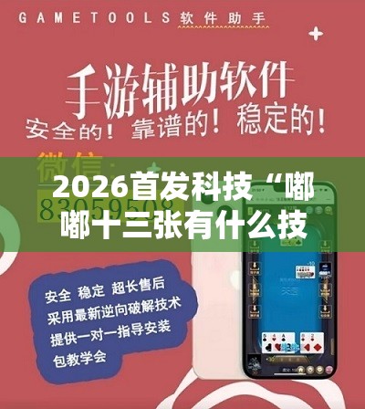 2026首发科技“嘟嘟十三张有什么技巧”详细外挂透视辅助软件教程