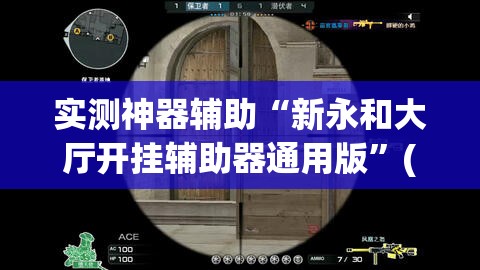 实测神器辅助“新永和大厅开挂辅助器通用版	”(透视)其实确实有挂
