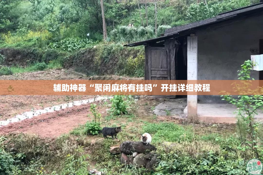 辅助神器“聚闲麻将有挂吗”开挂详细教程