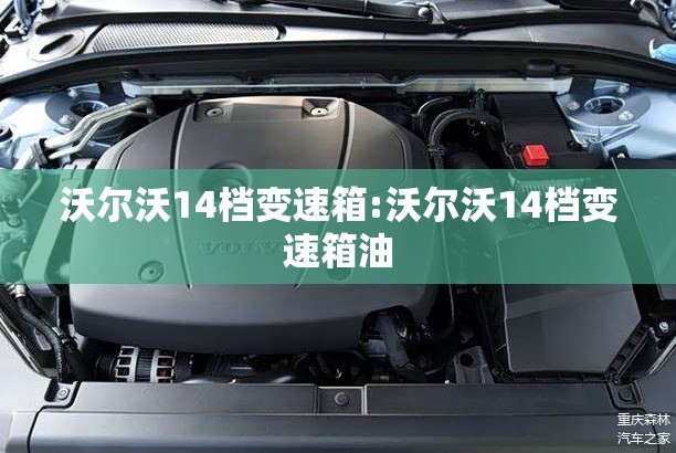 沃尔沃14档变速箱:沃尔沃14档变速箱油