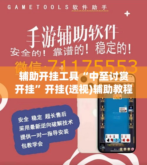 辅助开挂工具“中至讨赏开挂”开挂(透视)辅助教程
