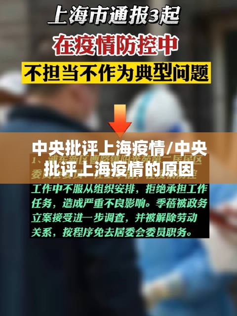 中央批评上海疫情/中央批评上海疫情的原因